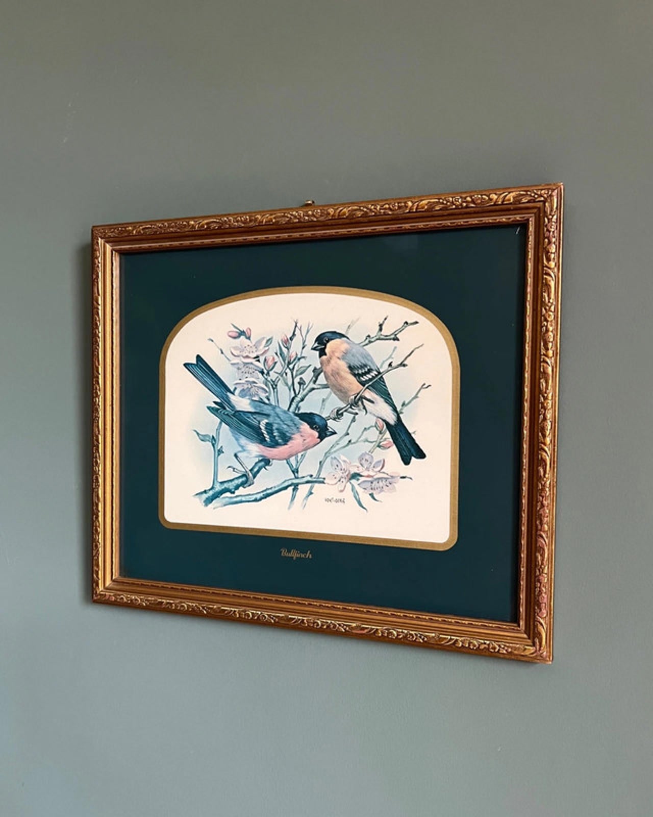 Vintage Framed Bullfinch Birds Print