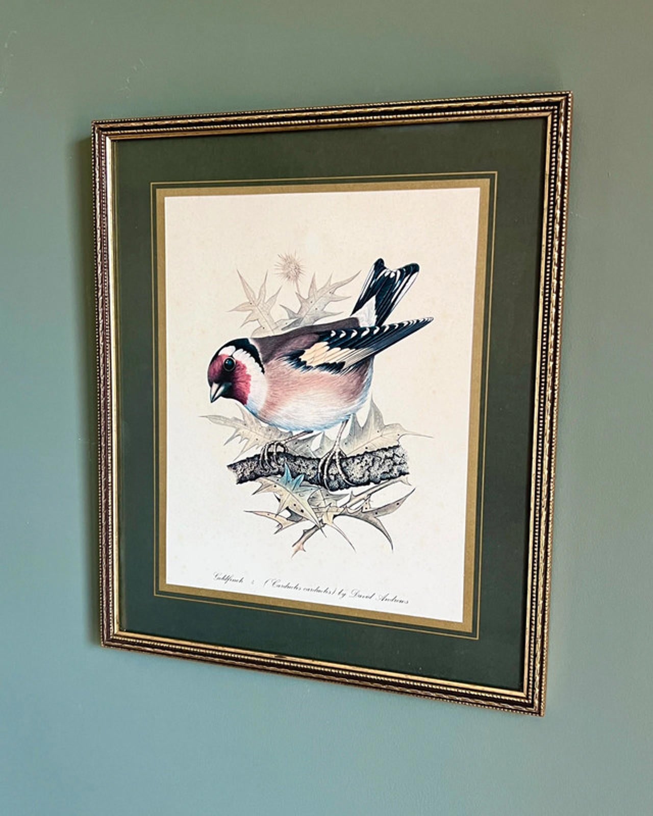 Vintage Framed Goldfinch Bird Print