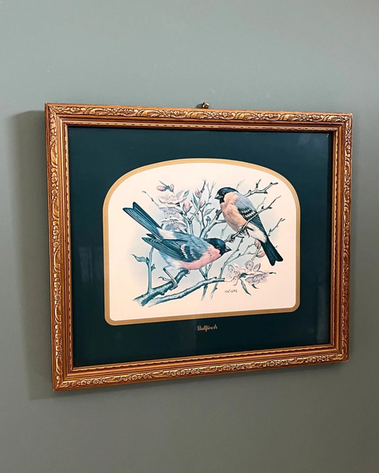 Vintage Framed Bullfinch Birds Print