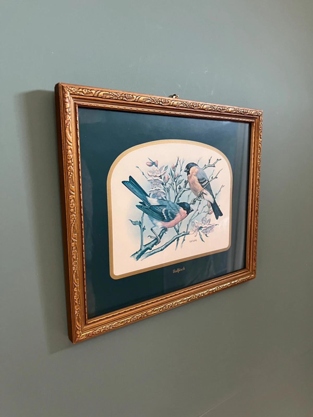 Vintage Framed Bullfinch Birds Print