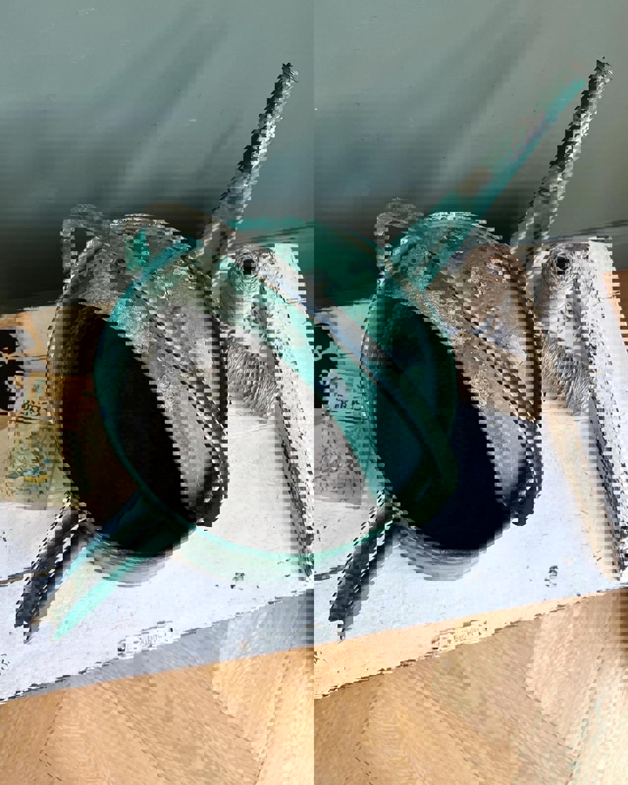 Vintage Watering Can with Chippy Green Paint