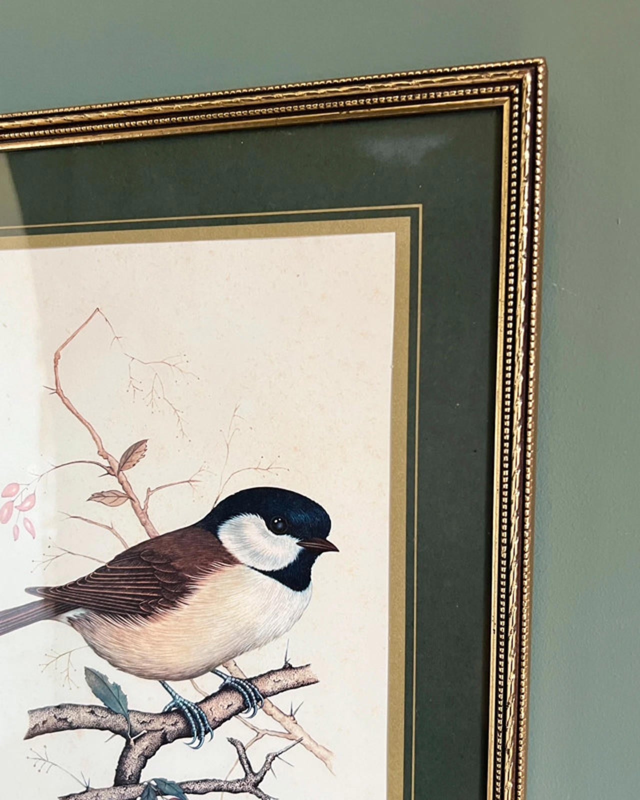 Vintage Framed Marsh Titmouse Bird Print