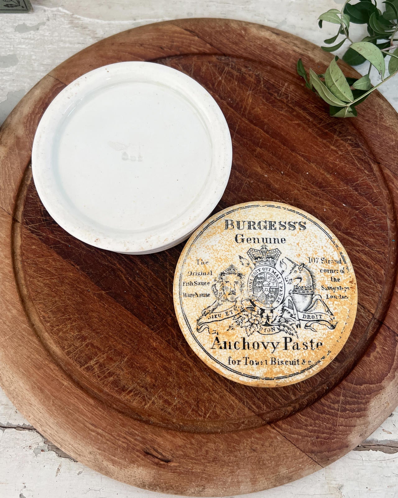 Antique Victorian Ironstone Burgess's Genuine Anchovy Paste Lidded Pot