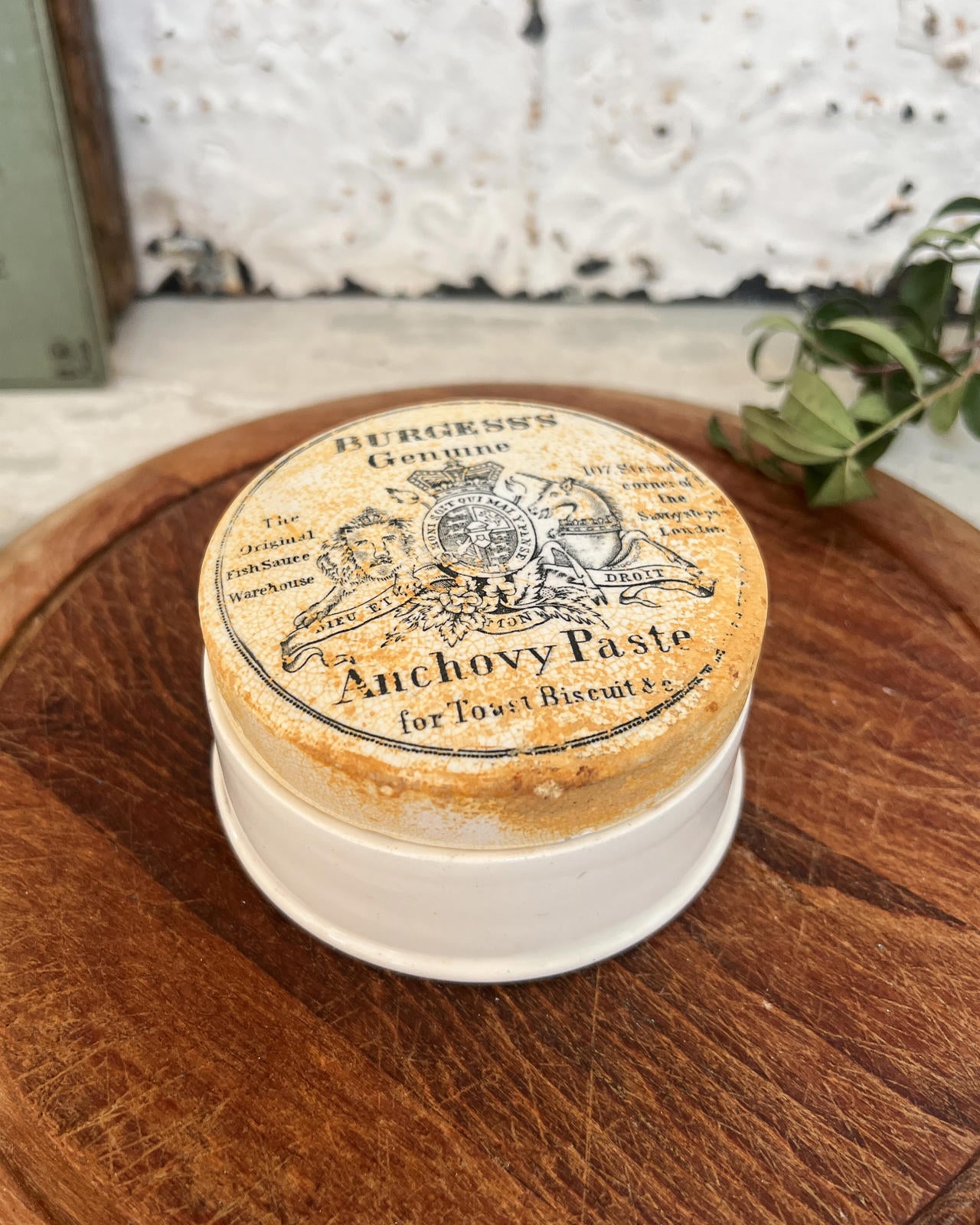 Antique Victorian Ironstone Burgess's Genuine Anchovy Paste Lidded Pot