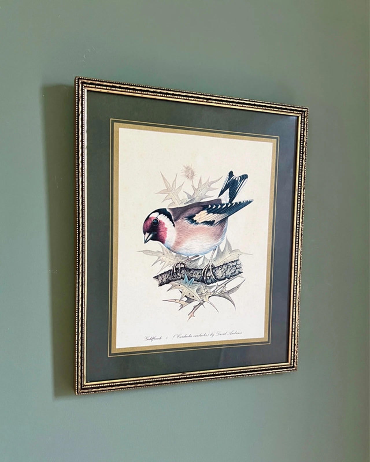 Vintage Framed Goldfinch Bird Print