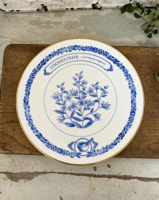 Botanical Commemorative Goss England Bone China Plate, Rare and Collectable